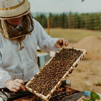 BC Queens, from Wild Antho (June-August) Sold Out