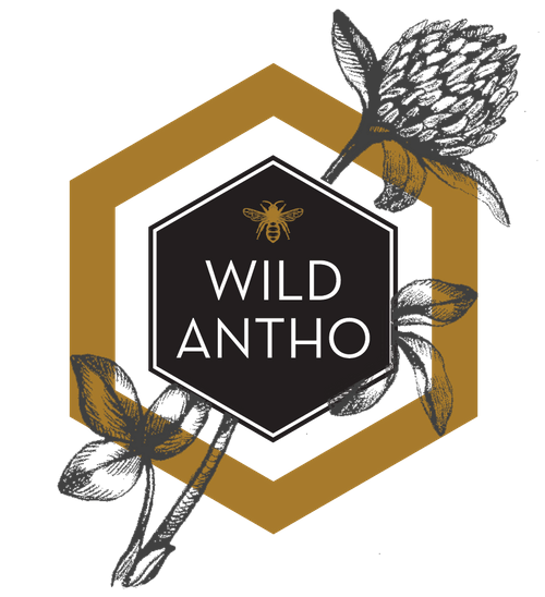 BC Queens, from Wild Antho (June-August) Sold Out