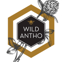 BC Queens, from Wild Antho (June-August) Sold Out