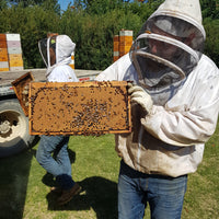 Saskatchewan Queens, from B. Strong Apiaries (June & July)