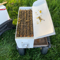 5-Frame BC Nuc, from Okanagan Honey