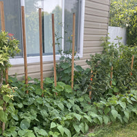 Cedar Garden Stakes