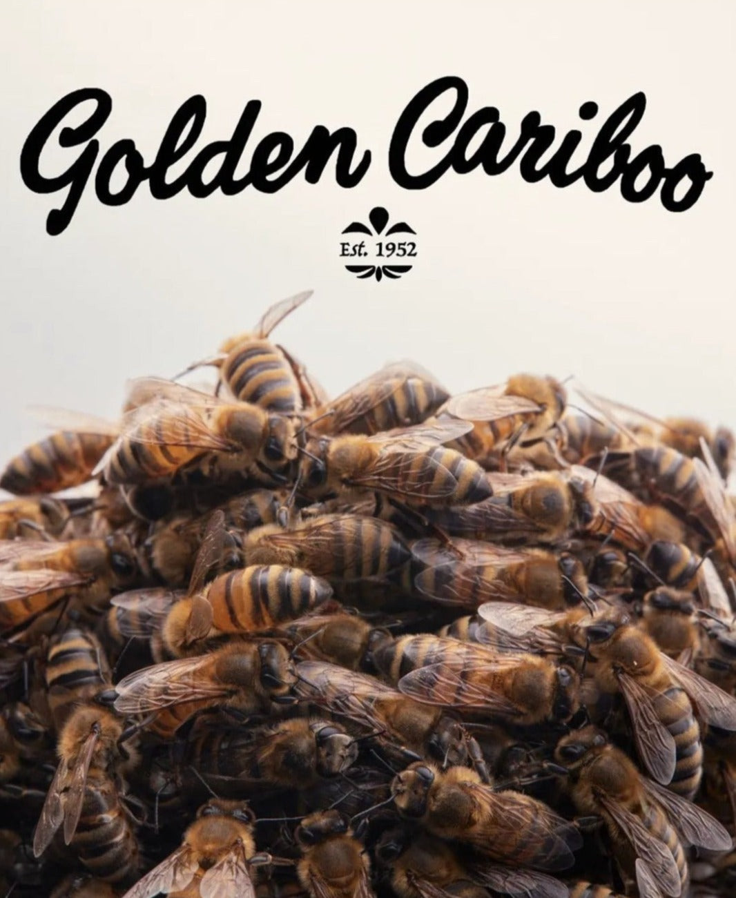 5-Frame Nuc from Golden Cariboo Honey Apiaries