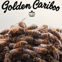 5-Frame Nuc from Golden Cariboo Honey Apiaries
