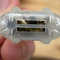 Carniolan Queens, from Chile (Available March/April)