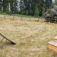 5-Frame Nuc from Golden Cariboo Honey Apiaries