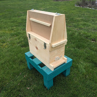 Observation Hive