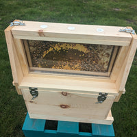 Observation Hive