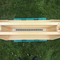 Observation Hive