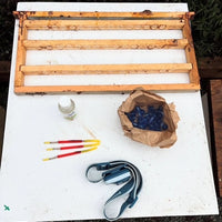 Backyard Queen Rearing Course - 2 Days