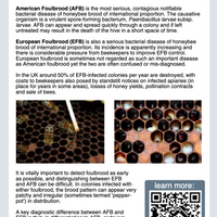 American Foulbrood (AFB) Testing Kit