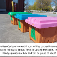 5-Frame Nuc from Golden Cariboo Honey Apiaries