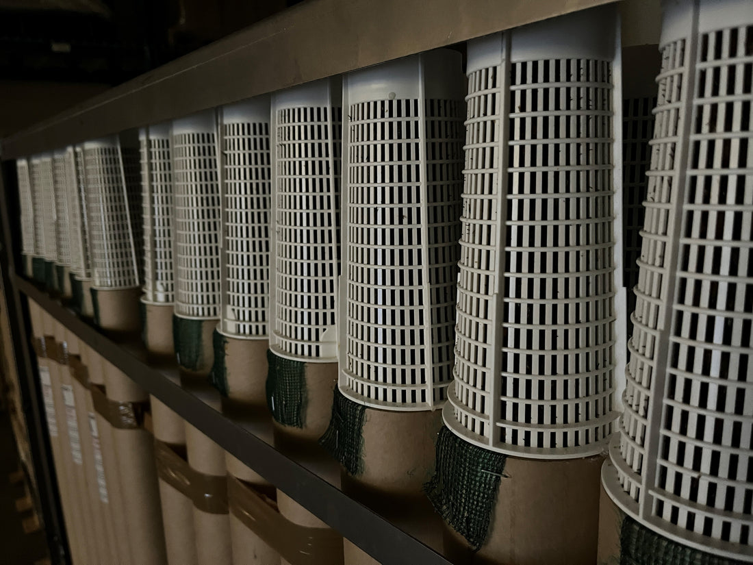 Arataki Packaged Honeybees