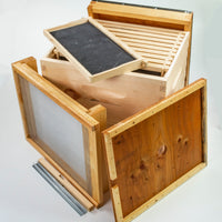 Basic Beginners Kit with Wood Frames/Plastic Foundation - Screened Bottom Board