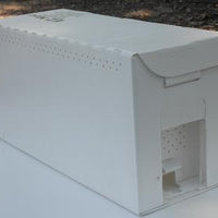 Jester Nuc Box