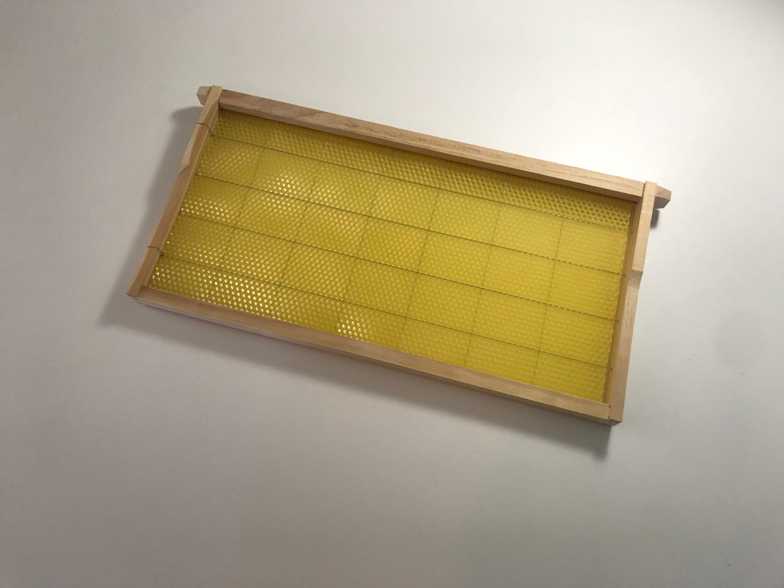 Assembled Wooden Frame with Wax Foundation - Deep
