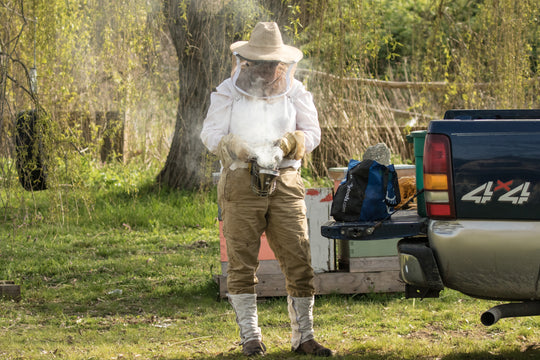 Spring Beekeeping Courses