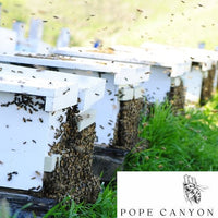 Carniolan Heritage Queens from Pope Canyon (April) -- With Caucasian & Varroa Sensitive Hygiene genetics recently introduced.