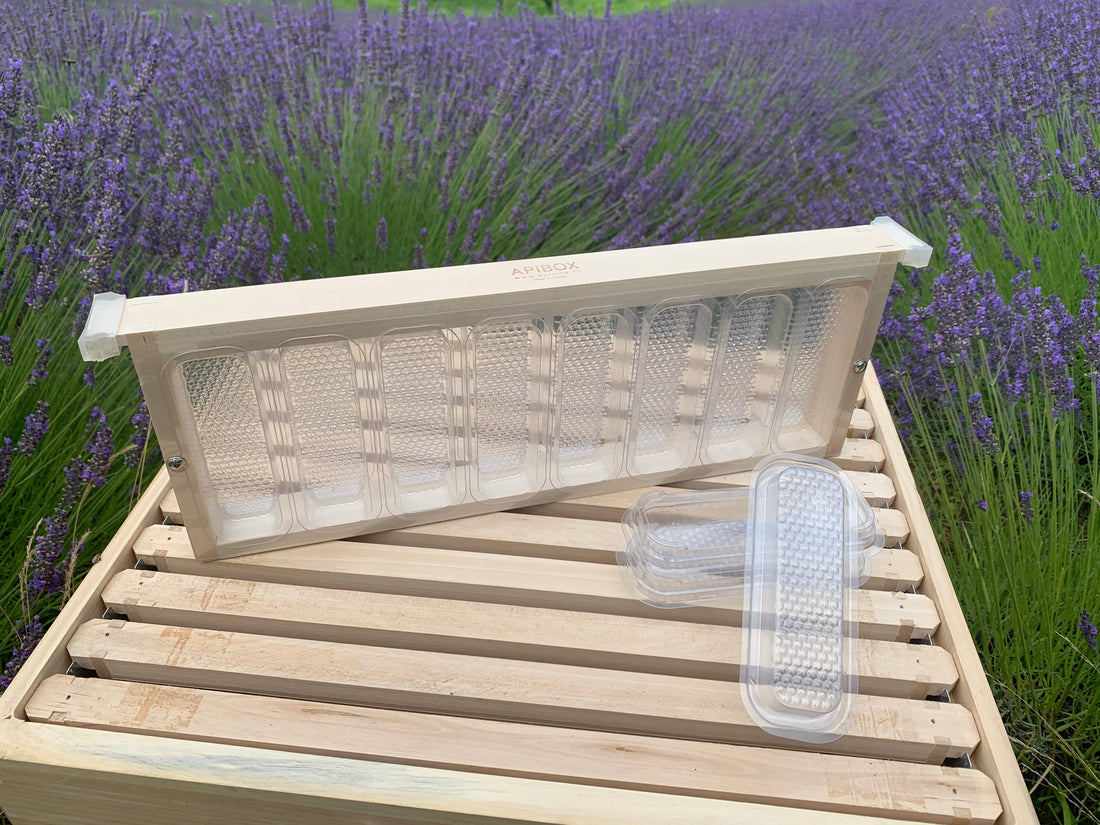 Apibox Midi (CLEARANCE, All Sales Final) -- REQUIRES MODIFICATION FOR USE IN LANGSTROTH HIVES