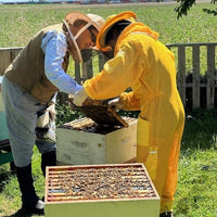 Beginner Beekeeping Course