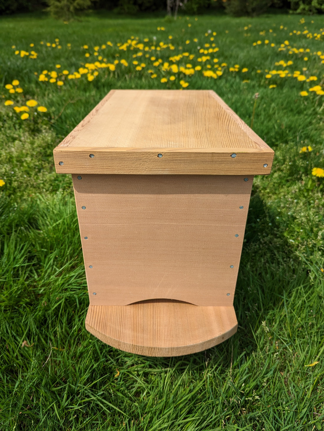 Artisan 5-Frame Cedar Nuc Box