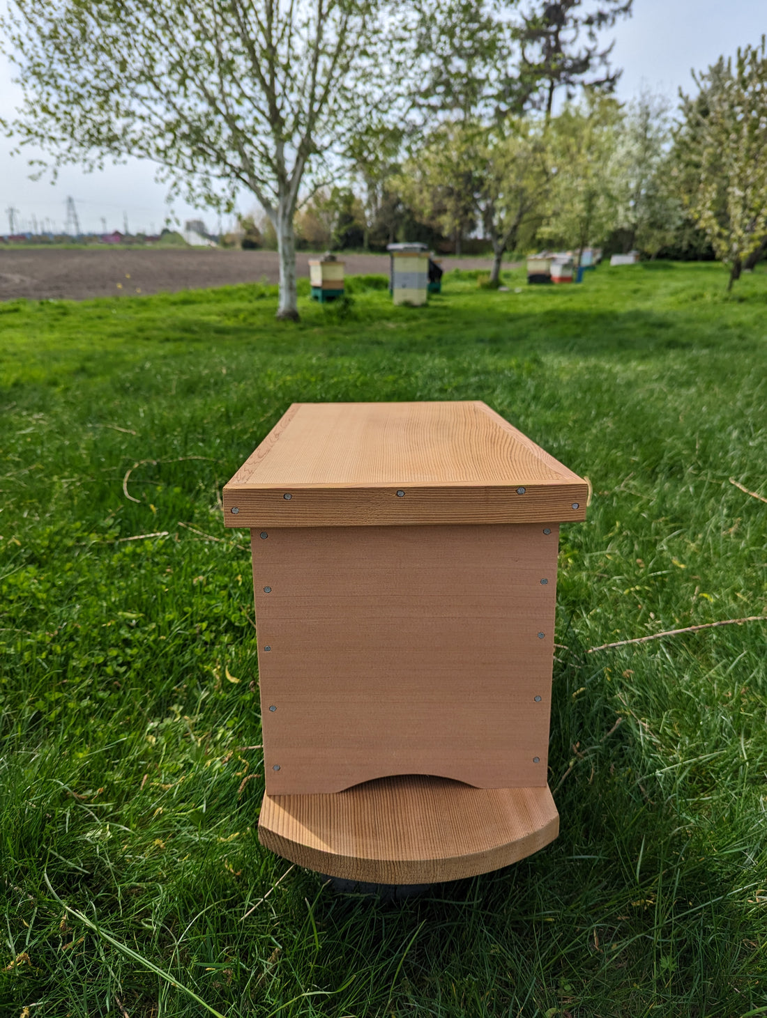 Artisan 5-Frame Cedar Nuc Box