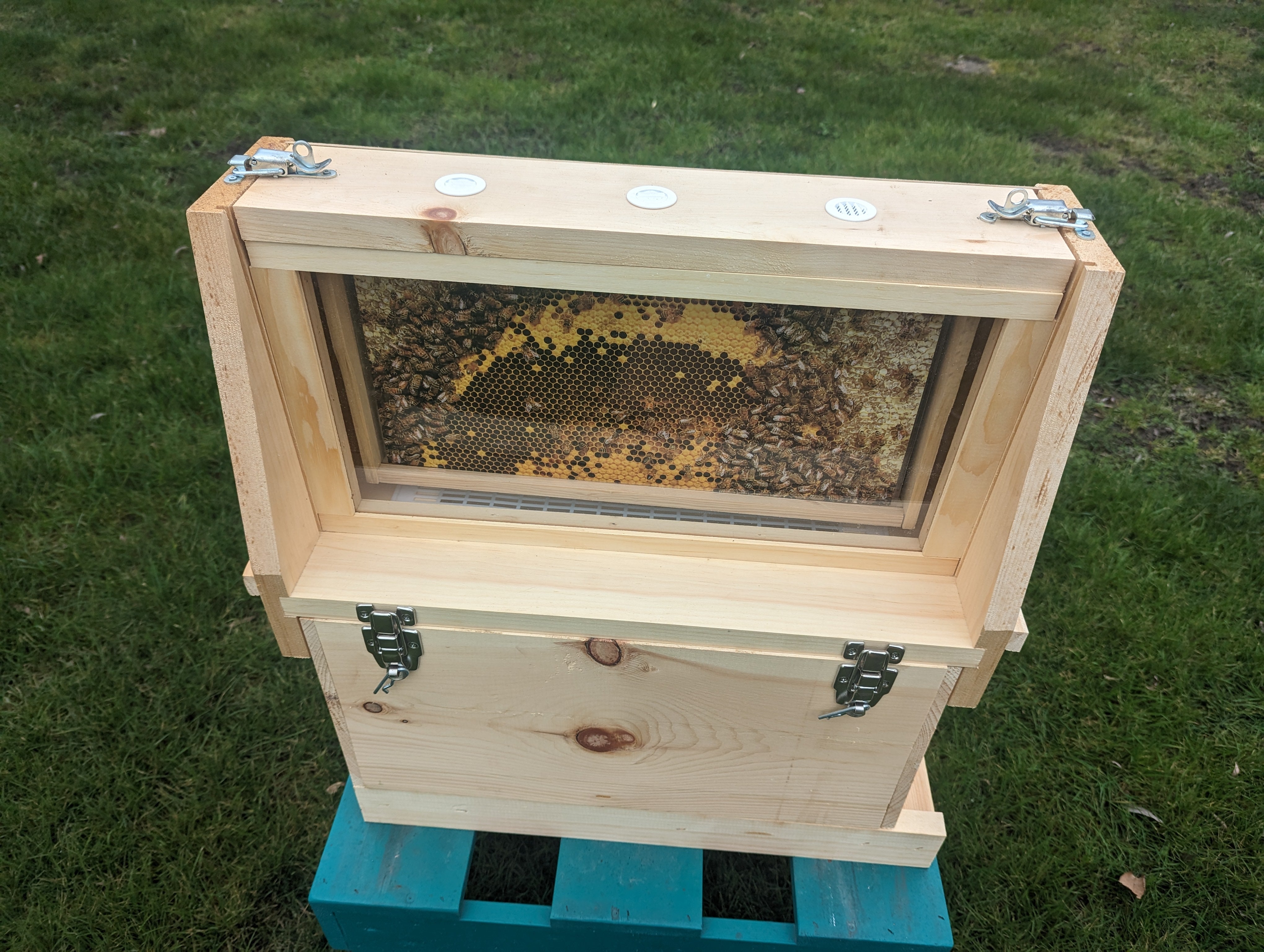 Asb Hive Observation Hive – Urban Bee Supplies
