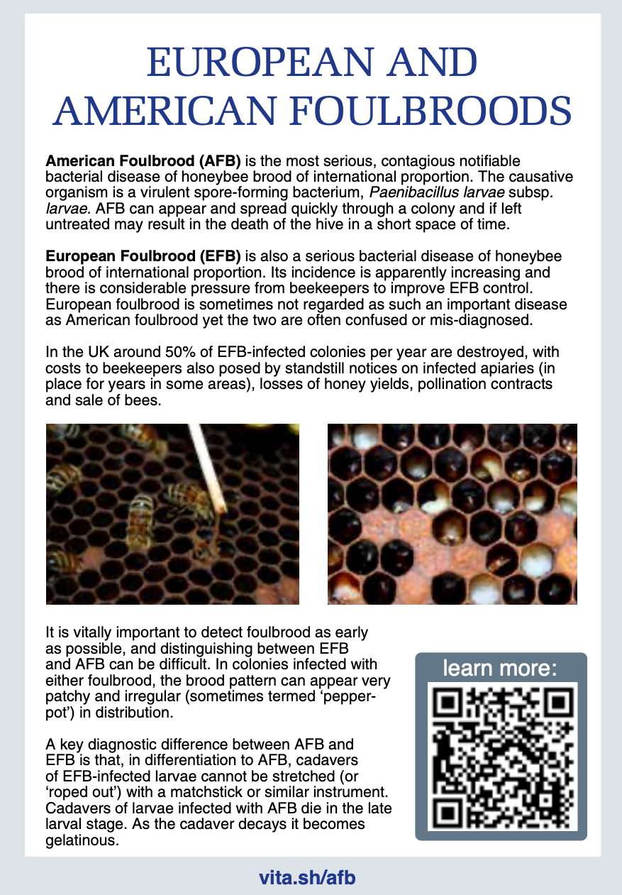 European Foulbrood (EFB) Testing Kit
