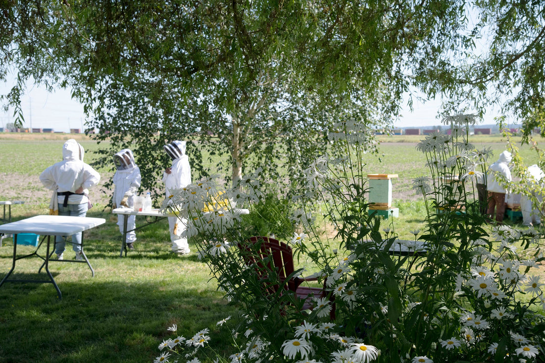 Hands-in-the-Hives Beekeeping & Mentorship Series -- BEGINNER