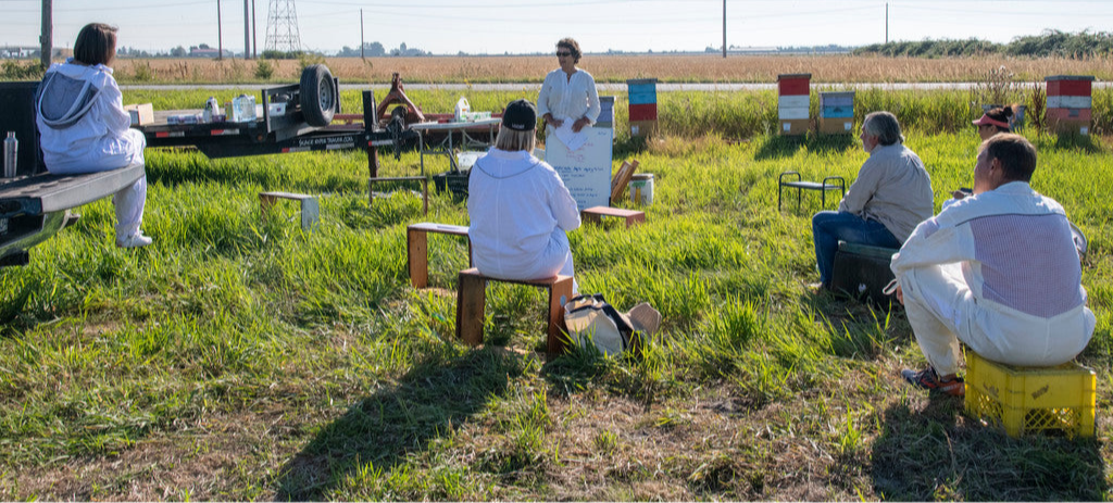 Beekeeping Workshop