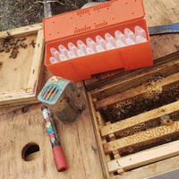 BC Queens, from Golden Cariboo Honey