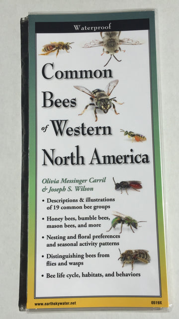 Common Bees of Western North America - Educational Pamphlet