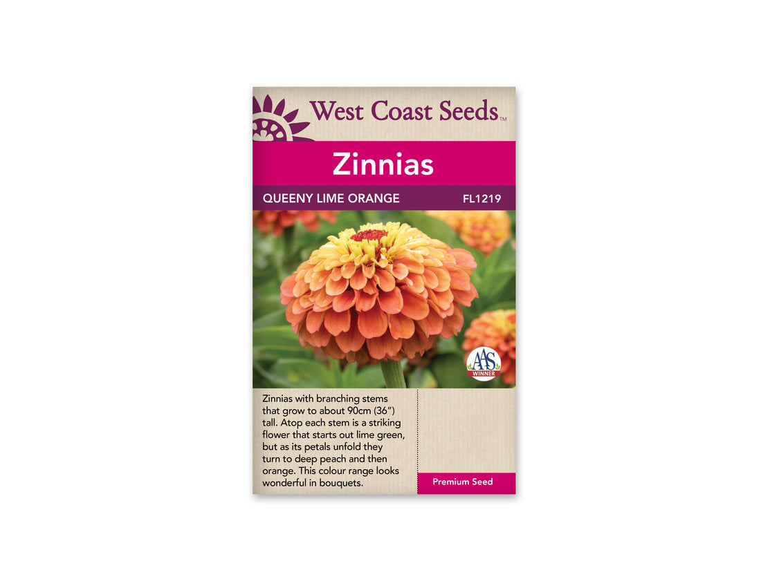 FL1219   Zinnias - Queeny Lime Orange (25 Seeds)