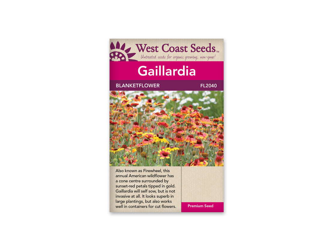 FL2040  Gaillardia - Blanket Flower