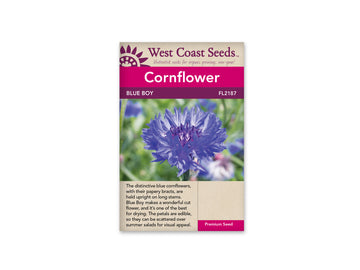 FL2187  Cornflower - Centaurea Blue Boy