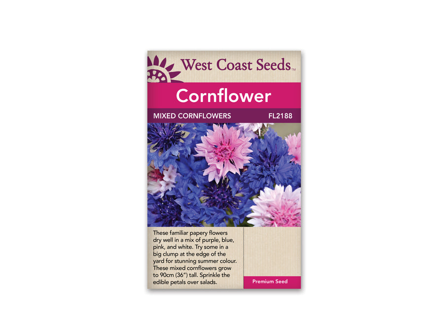 FL2188  Cornflower - Tall Mixed Cornflowers