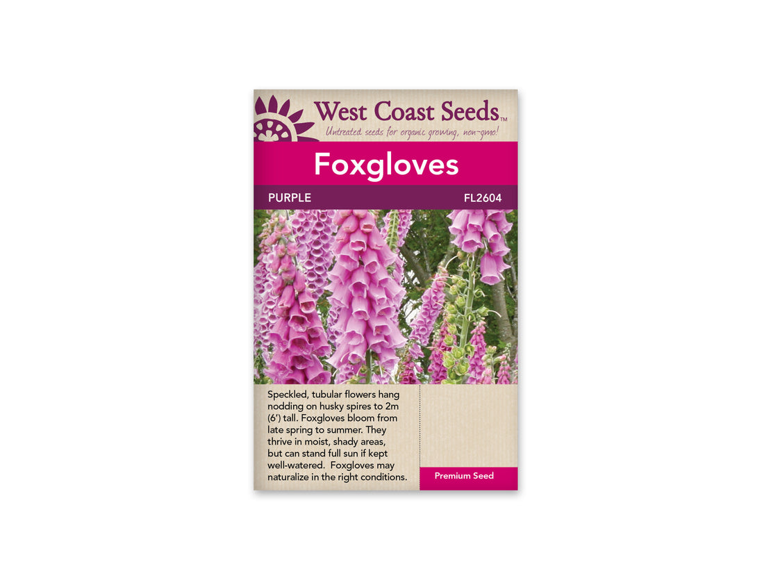FL2604  Foxgloves - Purple