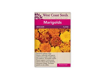 FL2948  Marigolds - Brocade