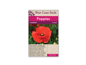 FL3108  Poppies - Flanders