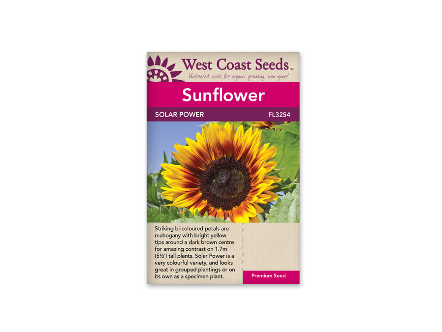 FL3254  Sunflowers - Solar Power