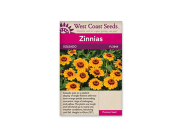 FL3844   Zinnias - Soleado (20 Seeds)