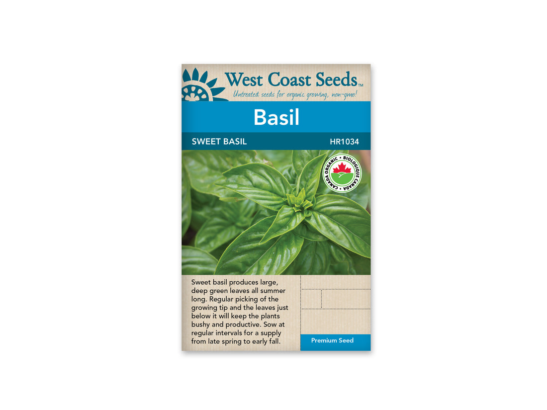 HR1034  Basil - Sweet Certified Organic