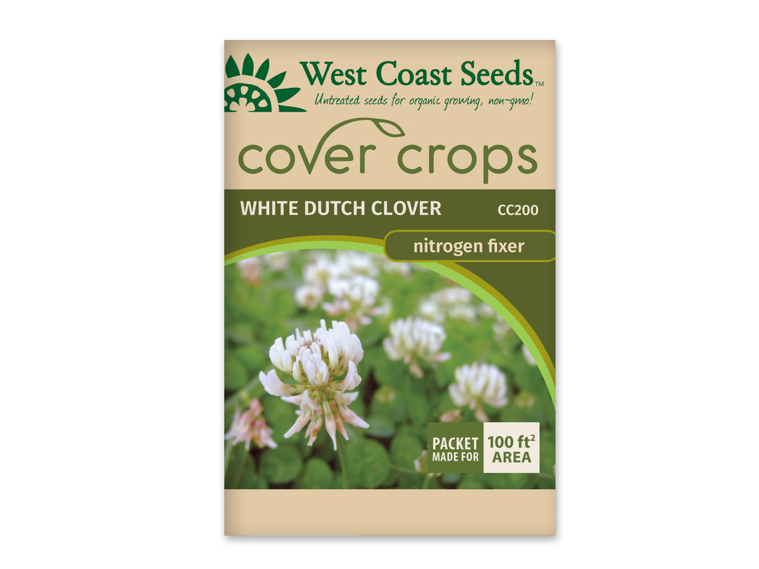 Clover - White Dutch Clover  CC200