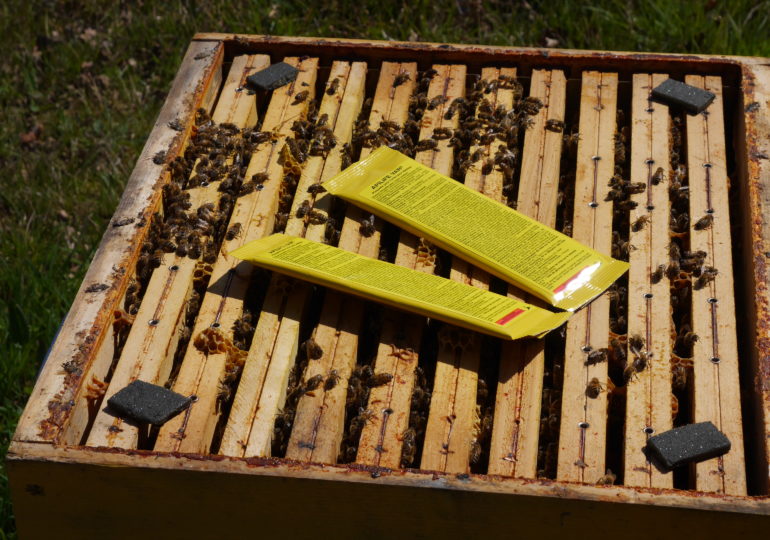 Apilife Var: Natural Solution for Healthy Beehives