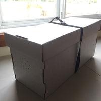 Nuc Box Strap